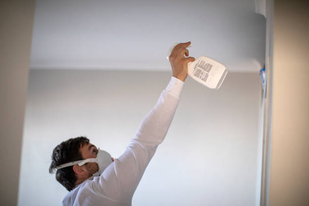 Reliable Woonsocket, RI Mold Remediation Solutions