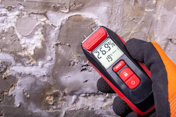 Best Mold Testing and Inspection Services in Woonsocket, RI