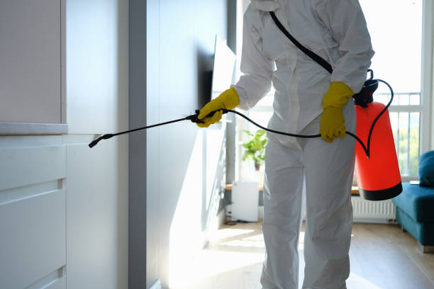 Best Emergency Mold Remediation in Woonsocket, RI